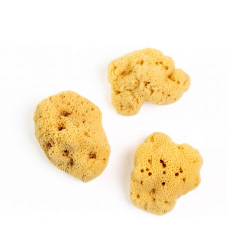 Esponja para cerámica