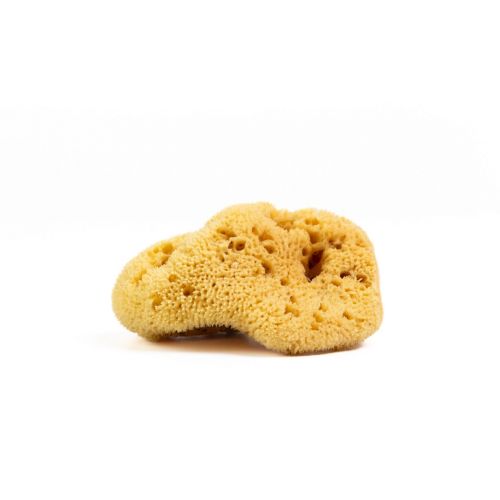 Esponja para cerámica